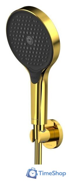 Душевой гарнитур  Whitecross SET50TOPGL (золото) - Изображение №1 — Интернет-магазин Time-Shop