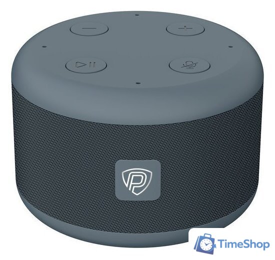 Умная колонка Prestigio SmartVoice (темно-серый) - Изображение №1 — Интернет-магазин Time-Shop