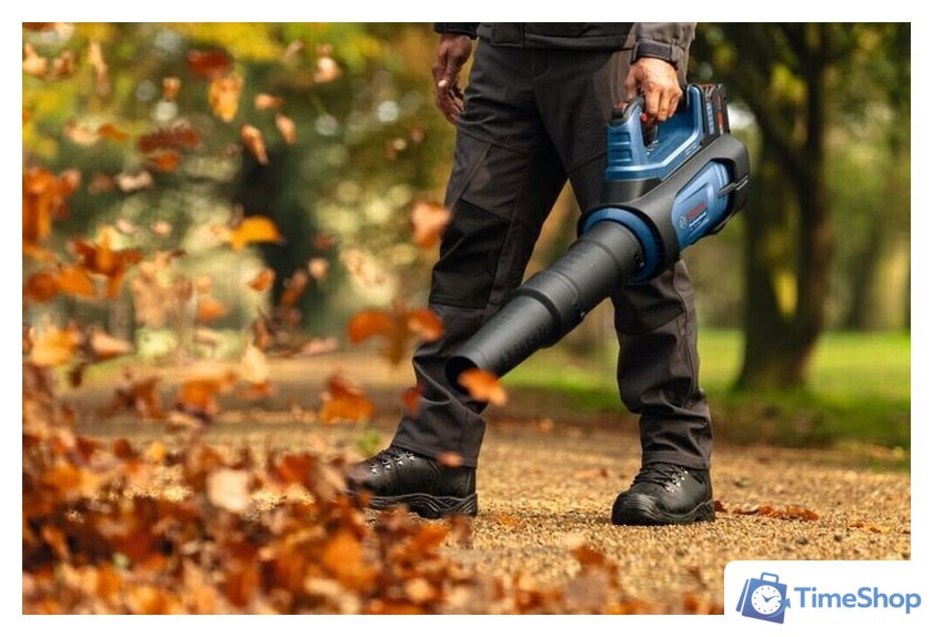 Ручная воздуходувка Bosch GBL 18V-800 06008D2200 (без АКБ) - Изображение №5 — Интернет-магазин Time-Shop
