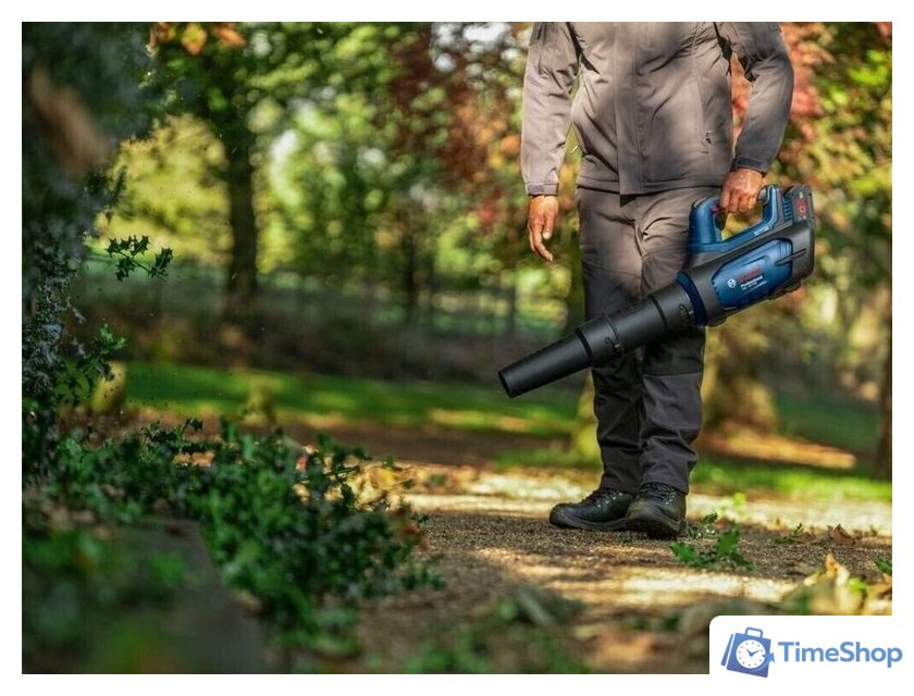 Ручная воздуходувка Bosch GBL 18V-800 06008D2200 (без АКБ) - Изображение №12 — Интернет-магазин Time-Shop