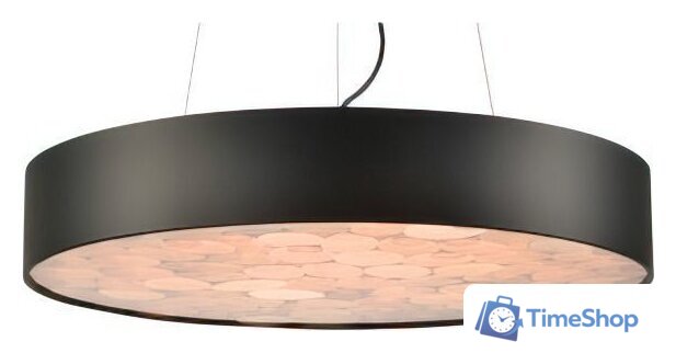 Подвесная люстра Wertmark Edera WE510.01.723 - Изображение №1 — Интернет-магазин Time-Shop