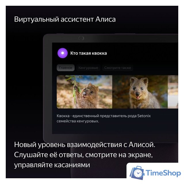 Колонка с умным дисплеем Яндекс Станция Дуо Макс (красный) - Изображение №5 — Интернет-магазин Time-Shop