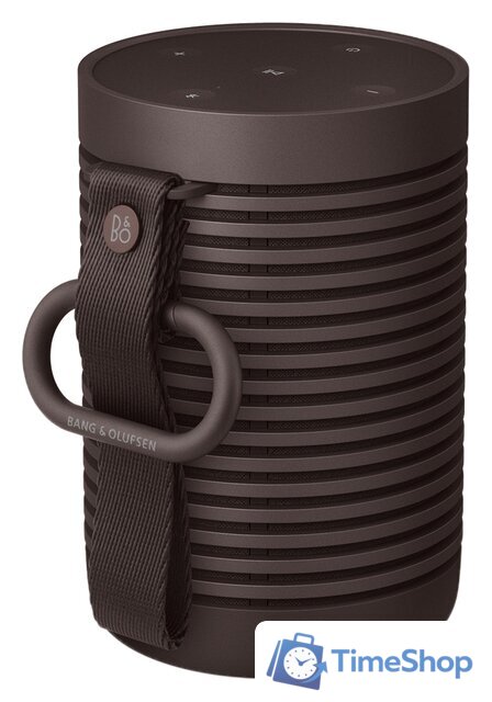 Беспроводная колонка Bang & Olufsen Beosound Explore (коричневый) - Изображение №1 — Интернет-магазин Time-Shop