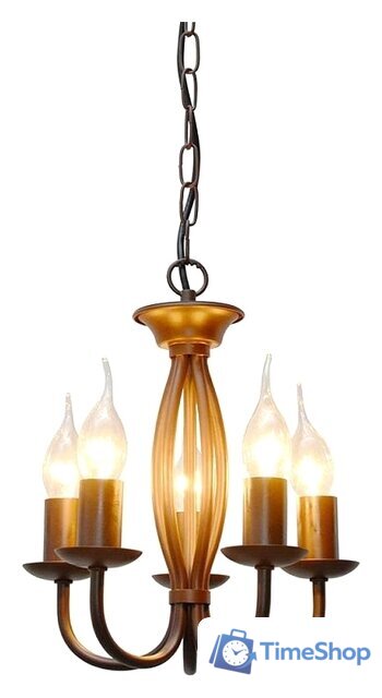 Подвесная люстра Lussole LGO LSP-9913 - Изображение №1 — Интернет-магазин Time-Shop