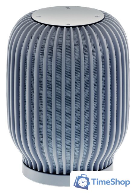 Умная колонка Sber SberBoom (лунный серый) - Изображение №1 — Интернет-магазин Time-Shop