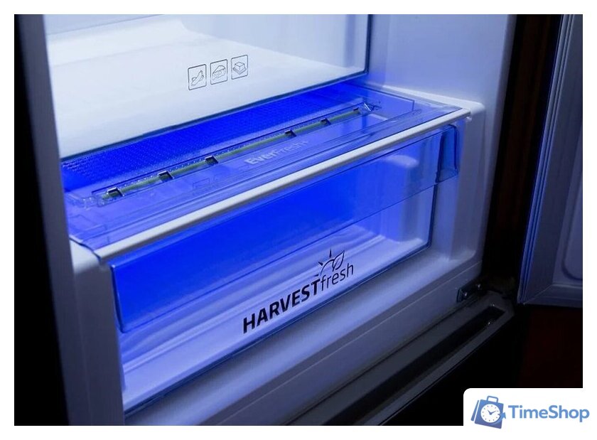Холодильник BEKO B5RCNA405ZG - Изображение №10 — Интернет-магазин Time-Shop