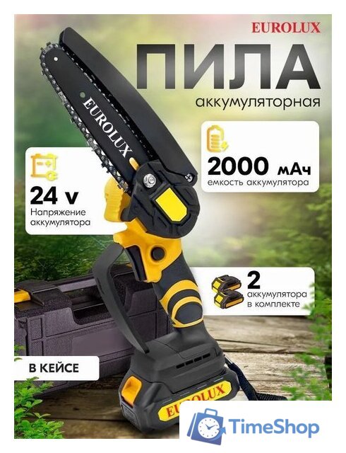 Аккумуляторная пила Eurolux ELS-24/2 (с 2-мя АКБ, кейс) - Изображение №1 — Интернет-магазин Time-Shop