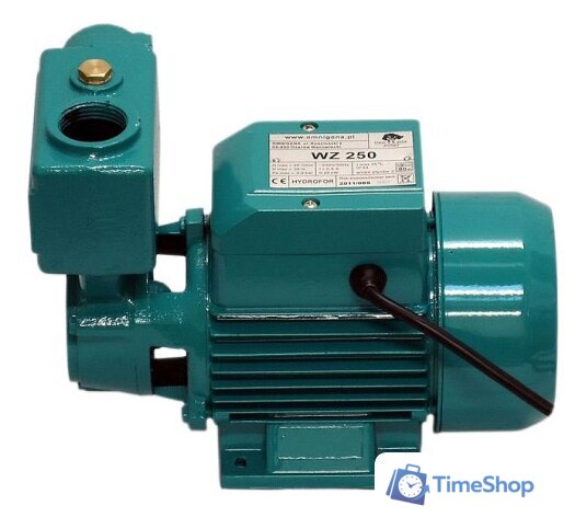 Самовсасывающий насос OMNIGENA WZ 250 - Изображение №1 — Интернет-магазин Time-Shop