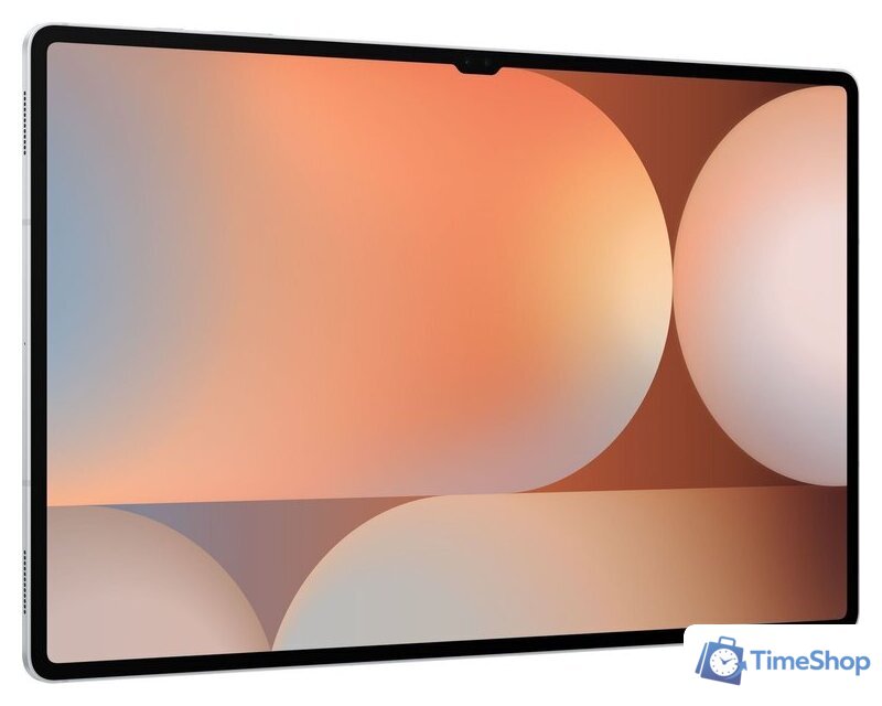 Планшет Samsung Galaxy Tab S10 Ultra 5G SM-X926 12GB/512GB (серебристый) - Изображение №4 — Интернет-магазин Time-Shop