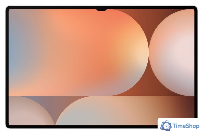 Планшет Samsung Galaxy Tab S10 Ultra 5G SM-X926 12GB/512GB (серебристый) - Изображение №2 — Интернет-магазин Time-Shop