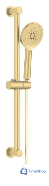 Душевой гарнитур  Aquatek Оберон AQ2016BG (золото) - Изображение №1 — Интернет-магазин Time-Shop