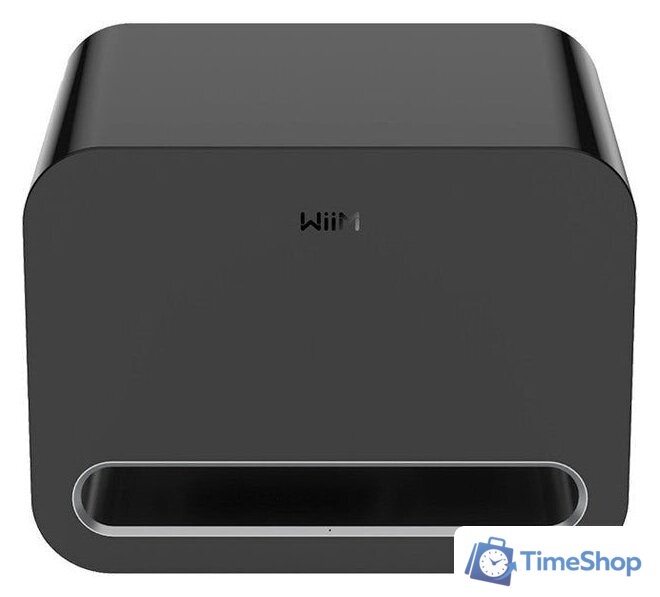 Беспроводной сабвуфер WiiM Sub Pro (черный) - Изображение №2 — Интернет-магазин Time-Shop