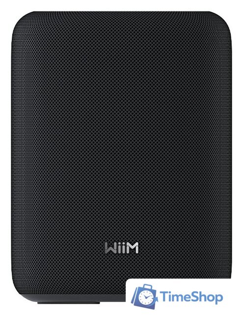 Беспроводная аудиосистема WiiM Sound Lite (черный) - Изображение №2 — Интернет-магазин Time-Shop