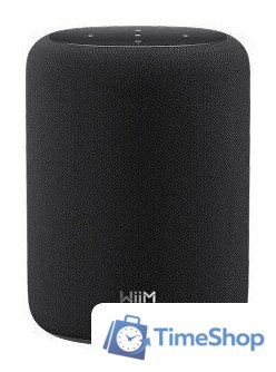 Беспроводная аудиосистема WiiM Sound Lite (черный) - Изображение №1 — Интернет-магазин Time-Shop