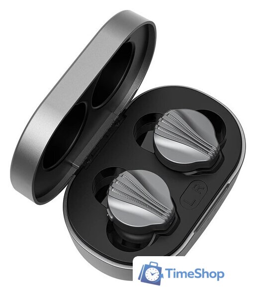 Наушники FiiO FW3 (серебристый) - Изображение №1 — Интернет-магазин Time-Shop