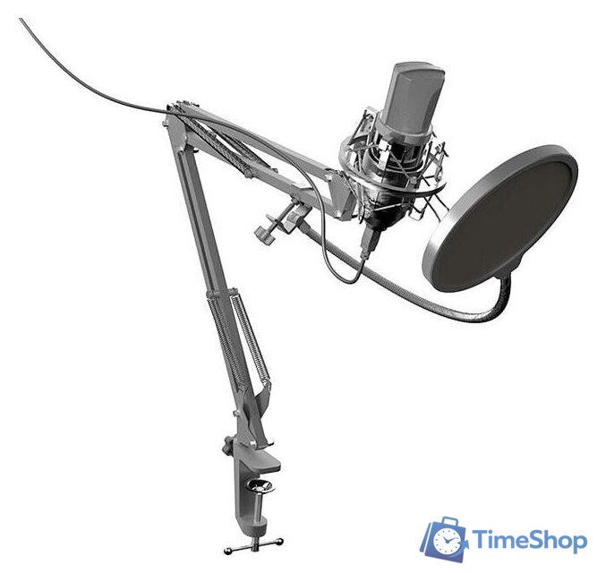Проводной микрофон Ritmix RDM-169 - Изображение №1 — Интернет-магазин Time-Shop