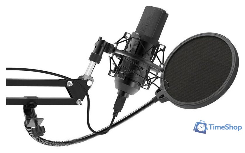 Проводной микрофон Ritmix RDM-169 - Изображение №3 — Интернет-магазин Time-Shop