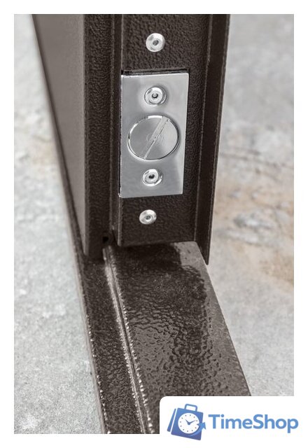 Металлическая дверь Промет Профи DL 205х125 (левый) - Изображение №3 — Интернет-магазин Time-Shop