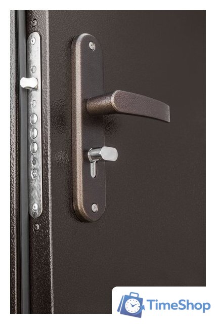 Металлическая дверь Промет Профи DL 205х125 (левый) - Изображение №5 — Интернет-магазин Time-Shop