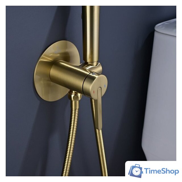 Гигиенический душ Rose R235G - Изображение №5 — Интернет-магазин Time-Shop