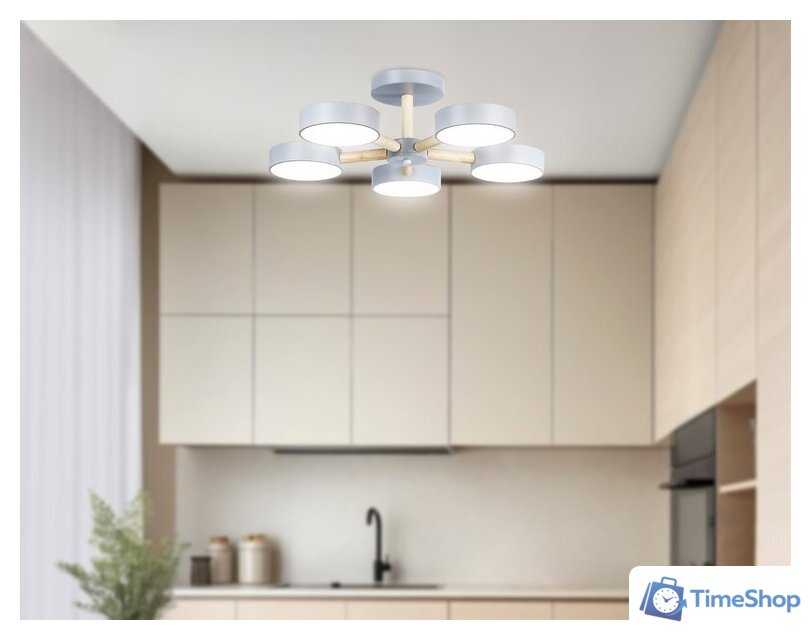Припотолочная люстра Ambrella light FL4826/5 GR - Изображение №5 — Интернет-магазин Time-Shop