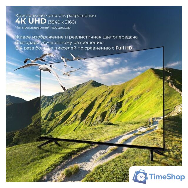 Телевизор Evolution WOS43MR1UHD - Изображение №8 — Интернет-магазин Time-Shop