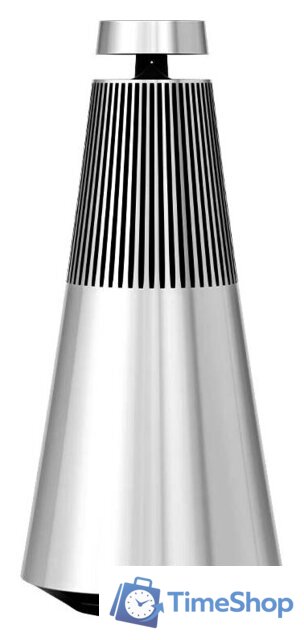 Беспроводная аудиосистема Bang & Olufsen Beosound 2 3rd Gen (серебристый) - Изображение №1 — Интернет-магазин Time-Shop
