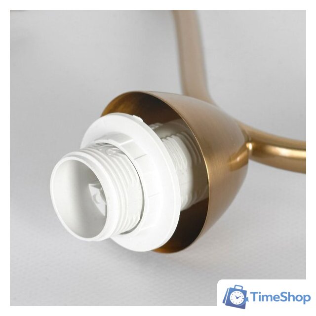 Подвесная люстра Lussole Greensboro LSP-8824 - Изображение №5 — Интернет-магазин Time-Shop