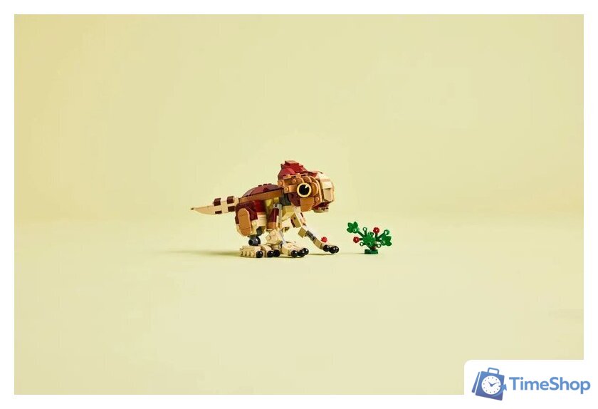 Конструктор LEGO Jurassic World Детёныш динозавра Долорес: Аквилопс 76970 - Изображение №12 — Интернет-магазин Time-Shop