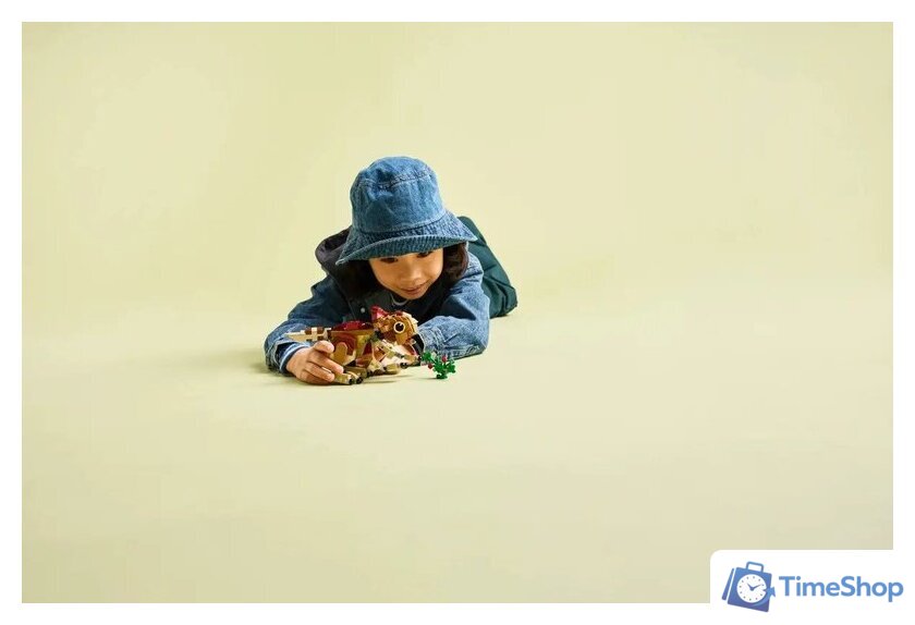 Конструктор LEGO Jurassic World Детёныш динозавра Долорес: Аквилопс 76970 - Изображение №9 — Интернет-магазин Time-Shop