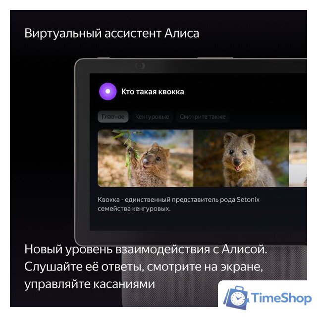 Колонка с умным дисплеем Яндекс Станция Дуо Макс (бежевый) - Изображение №5 — Интернет-магазин Time-Shop