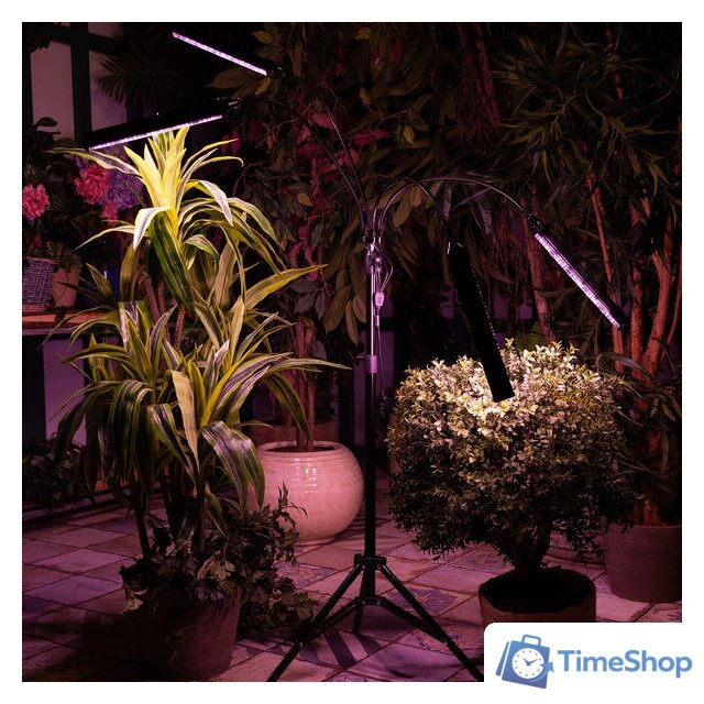 Лампа для растений Uniel ULT-P32-60W/SPLE/TM/40 IP40 BLACK QUAD UL-00008906 - Изображение №8 — Интернет-магазин Time-Shop