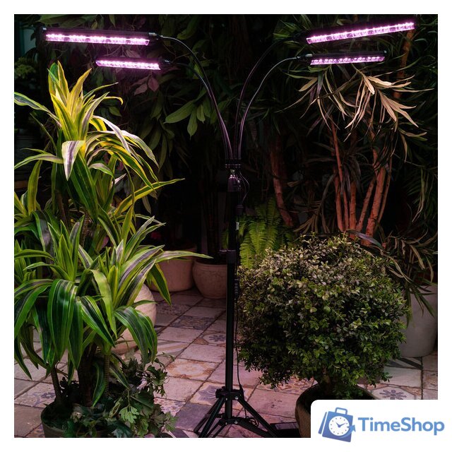 Лампа для растений Uniel ULT-P32-60W/SPLE/TM/40 IP40 BLACK QUAD UL-00008906 - Изображение №6 — Интернет-магазин Time-Shop