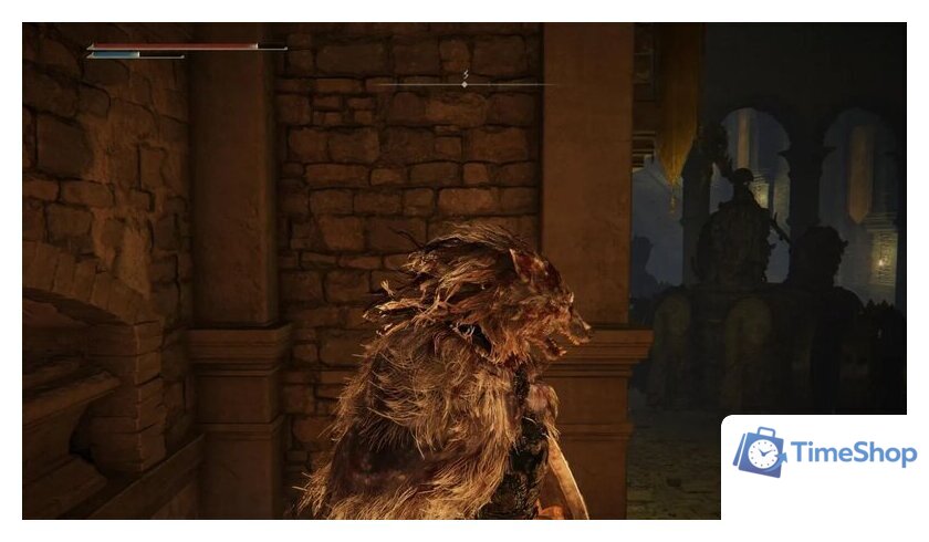  Elden Ring: Shadow of the Erdtree Edition для PlayStation 5 - Изображение №2 — Интернет-магазин Time-Shop