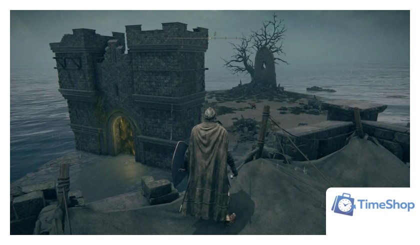  Elden Ring: Shadow of the Erdtree Edition для PlayStation 5 - Изображение №11 — Интернет-магазин Time-Shop