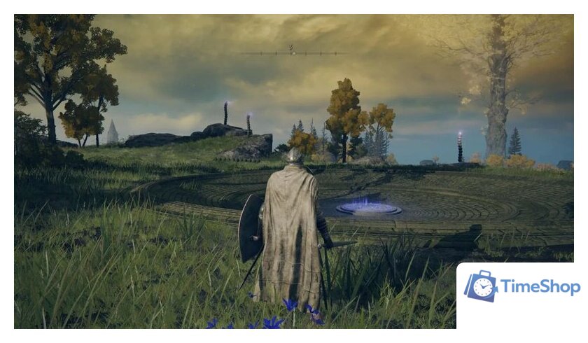  Elden Ring: Shadow of the Erdtree Edition для PlayStation 5 - Изображение №9 — Интернет-магазин Time-Shop
