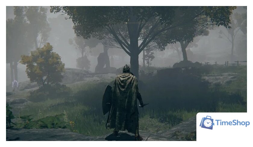  Elden Ring: Shadow of the Erdtree Edition для PlayStation 5 - Изображение №13 — Интернет-магазин Time-Shop