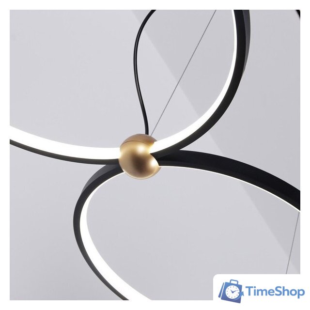 Подвесная люстра Favourite 4569-2P - Изображение №4 — Интернет-магазин Time-Shop