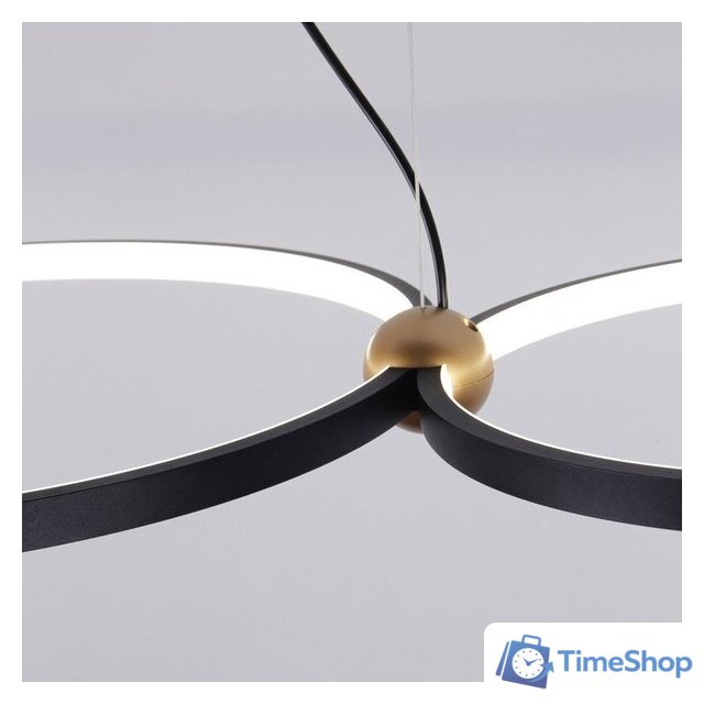 Подвесная люстра Favourite 4569-2P - Изображение №3 — Интернет-магазин Time-Shop