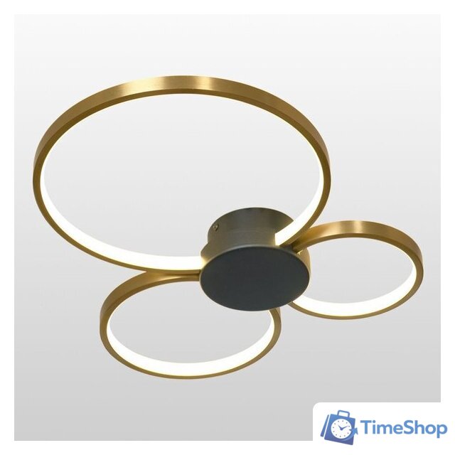 Припотолочная люстра Lussole Lowell LSP-7112 - Изображение №2 — Интернет-магазин Time-Shop