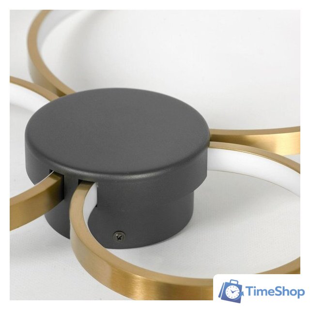 Припотолочная люстра Lussole Lowell LSP-7112 - Изображение №3 — Интернет-магазин Time-Shop