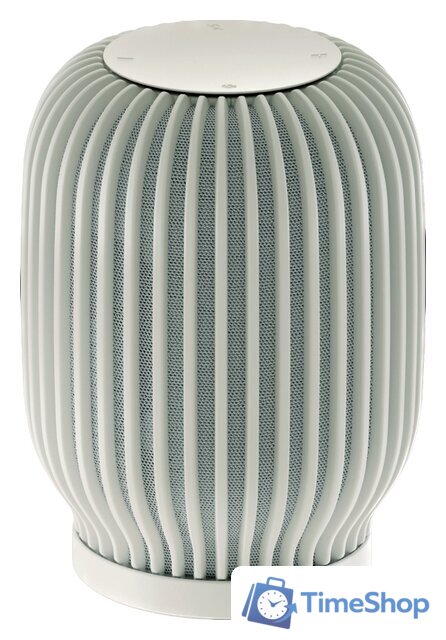 Умная колонка Sber SberBoom (туманный белый) - Изображение №1 — Интернет-магазин Time-Shop