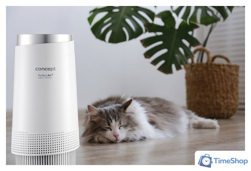 Очиститель воздуха Concept Perfect Air Smart CA1010 - Изображение №16 — Интернет-магазин Time-Shop