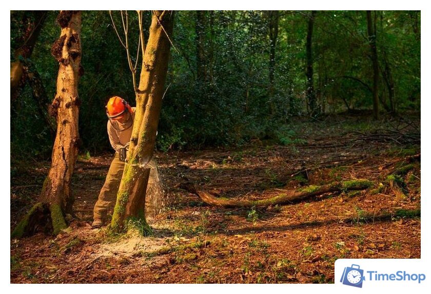 Аккумуляторная пила Ryobi RY36CSX35A-150 (с АКБ 5 Ah) - Изображение №13 — Интернет-магазин Time-Shop