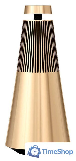 Беспроводная аудиосистема Bang & Olufsen Beosound 2 3rd Gen (золотистый) - Изображение №1 — Интернет-магазин Time-Shop