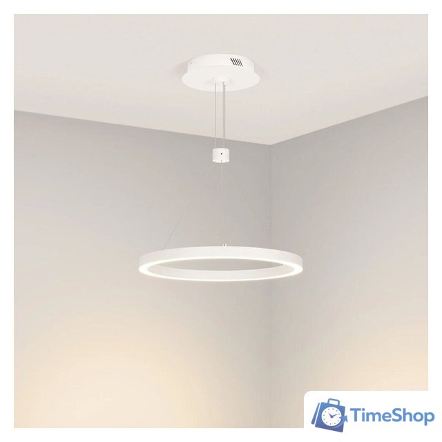 Подвесная люстра Arlight SP-Congo-Can-1-R400-24W Day4000 046213 - Изображение №3 — Интернет-магазин Time-Shop