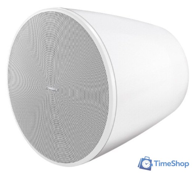  Bose DesignMax DM10P-SUB (белый) - Изображение №1 — Интернет-магазин Time-Shop
