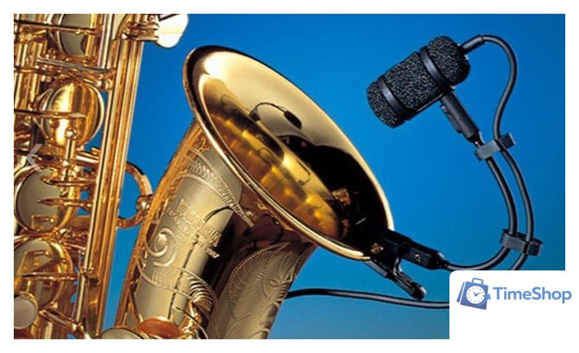 Проводной микрофон Audio-Technica PRO35 - Изображение №8 — Интернет-магазин Time-Shop