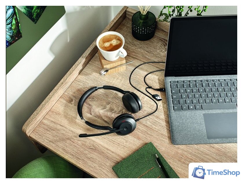 Офисная гарнитура Jabra Evolve2 30 SE MS Stereo USB C/A - Изображение №5 — Интернет-магазин Time-Shop