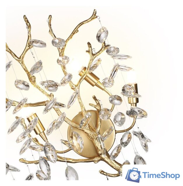 Бра Odeon Light Delica 4969/3W - Изображение №3 — Интернет-магазин Time-Shop